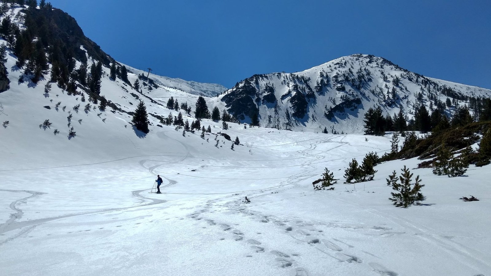 Brezovica