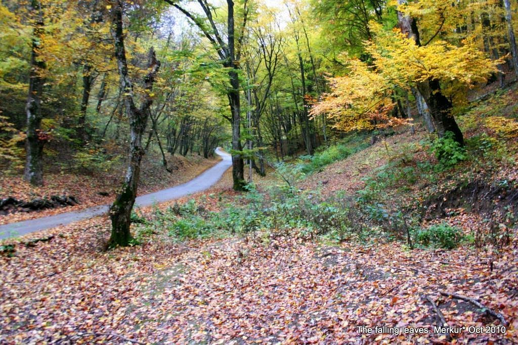 Germia trails